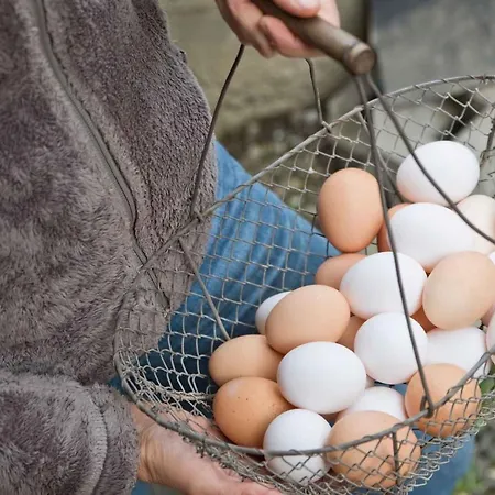 In With One-bedroom 1 דירה *