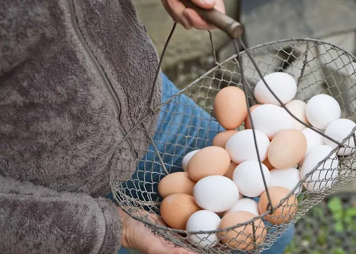 In With One-bedroom 1 公寓 *