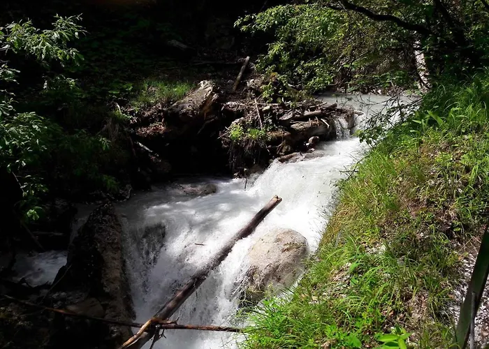 In With One-bedroom 1 公寓 舒里特斯